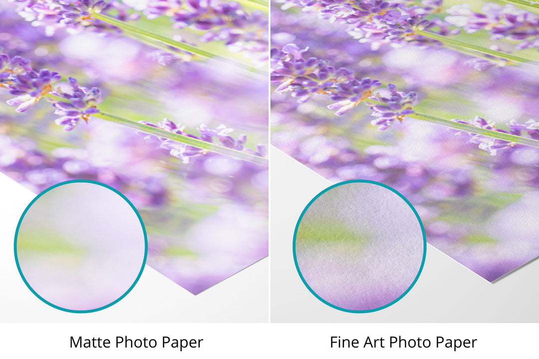 Purple Lavender IV | Fine Art Photography Print