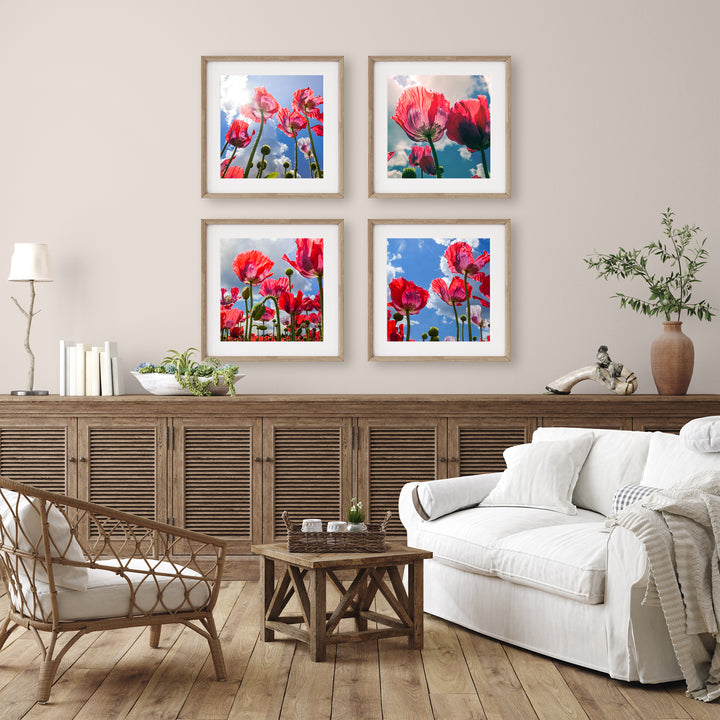 Poppy Flower Gallery Wall | Fine Art Photography Print Set