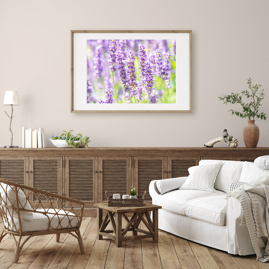 Purple Lavender I | Fine Art Photography Print