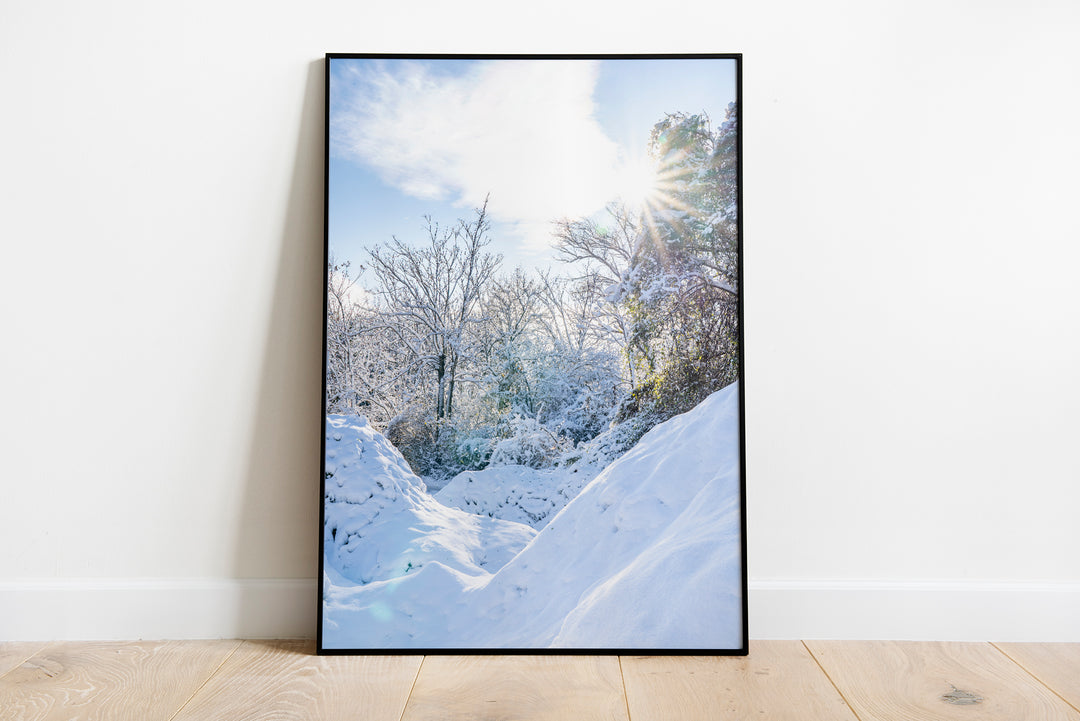 Winter Sun | Fine Art Photography Print