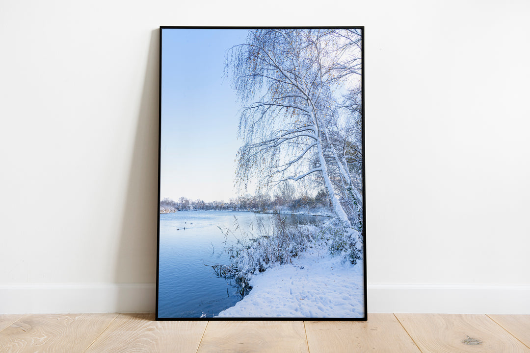Winter Scenery | Fine Art Photography Print
