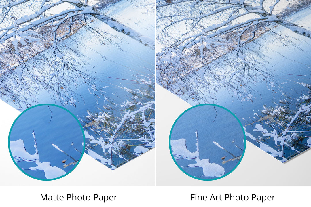 Frosty Tree | Fine Art Photography Print
