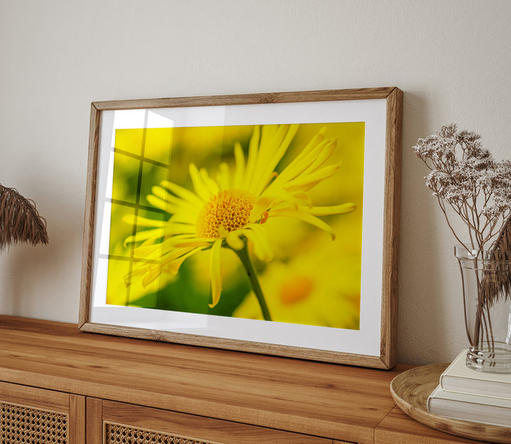 Yellow Wildflower | Fine Art Photography Print