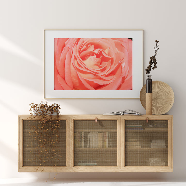 Orange Rose | Fine Art Photography Print