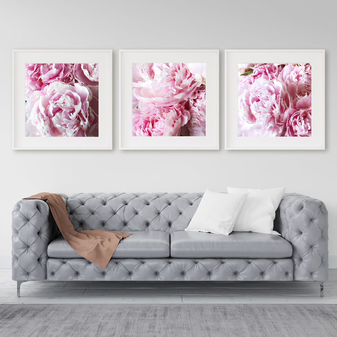 Pink Peonies Gallery Wall II | Fine Art Photography Print Set