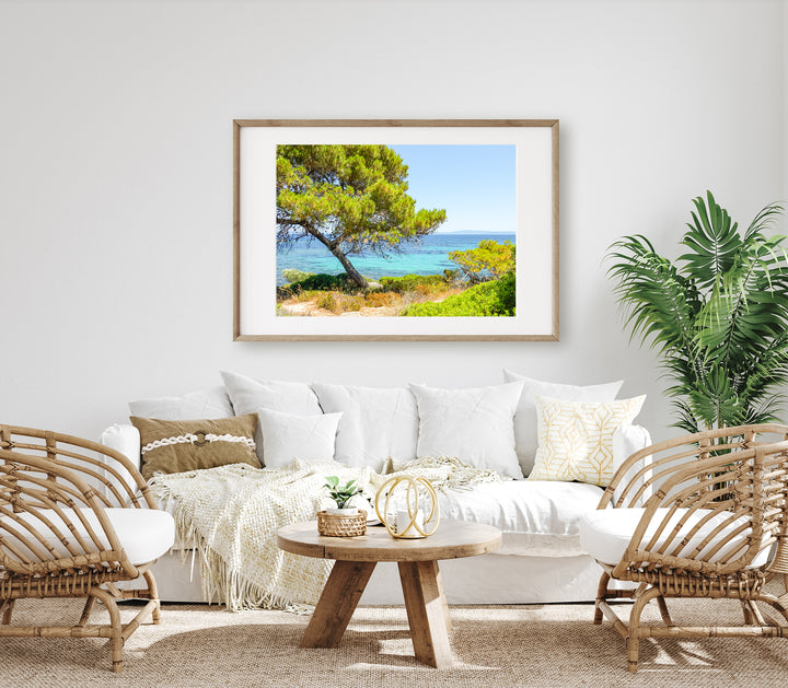 Coastal Pine Tree V | Fine Art Photography Print