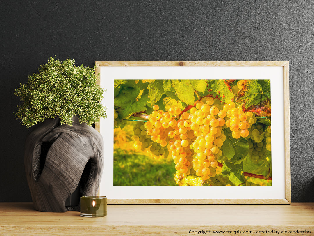 White Grapes | Fine Art Photography Print