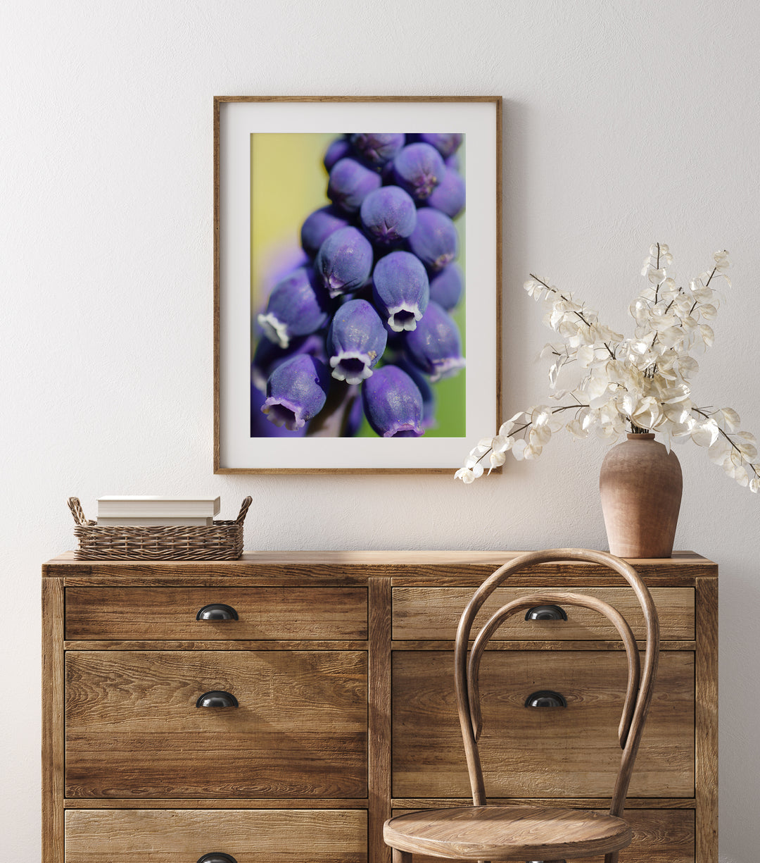 Grape Hyacinth | Fine Art Photography Print