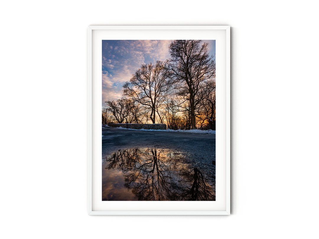Winter Reflections | Fine Art Photography Print