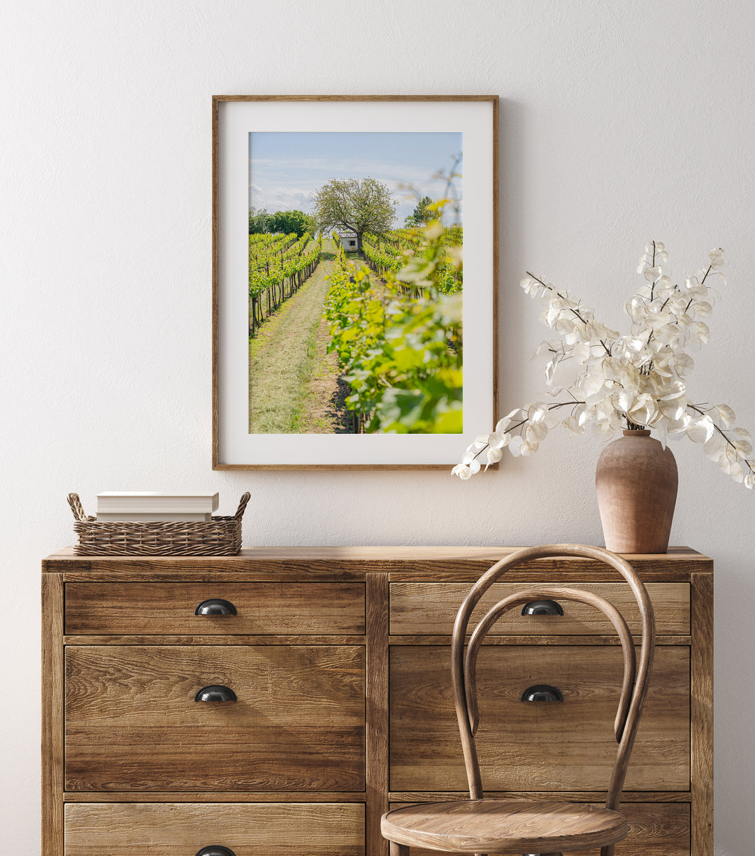Vineyards in Spring | Fine Art Photography Print