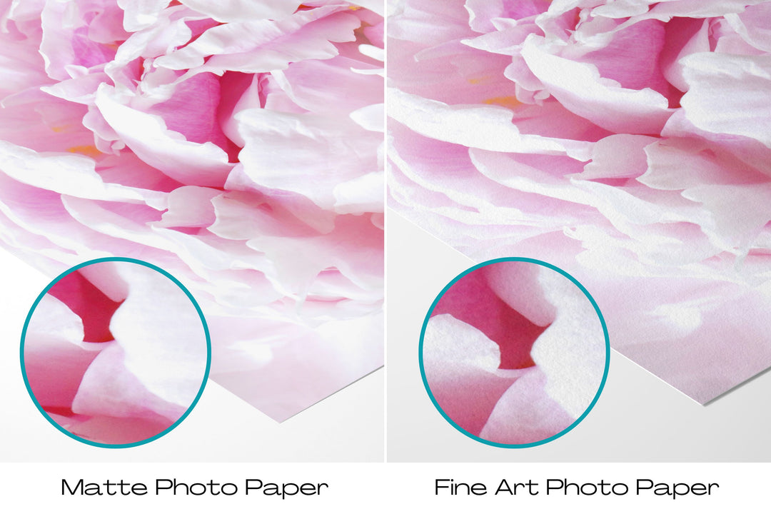 Pink Peonies I | Fine Art Photography Print
