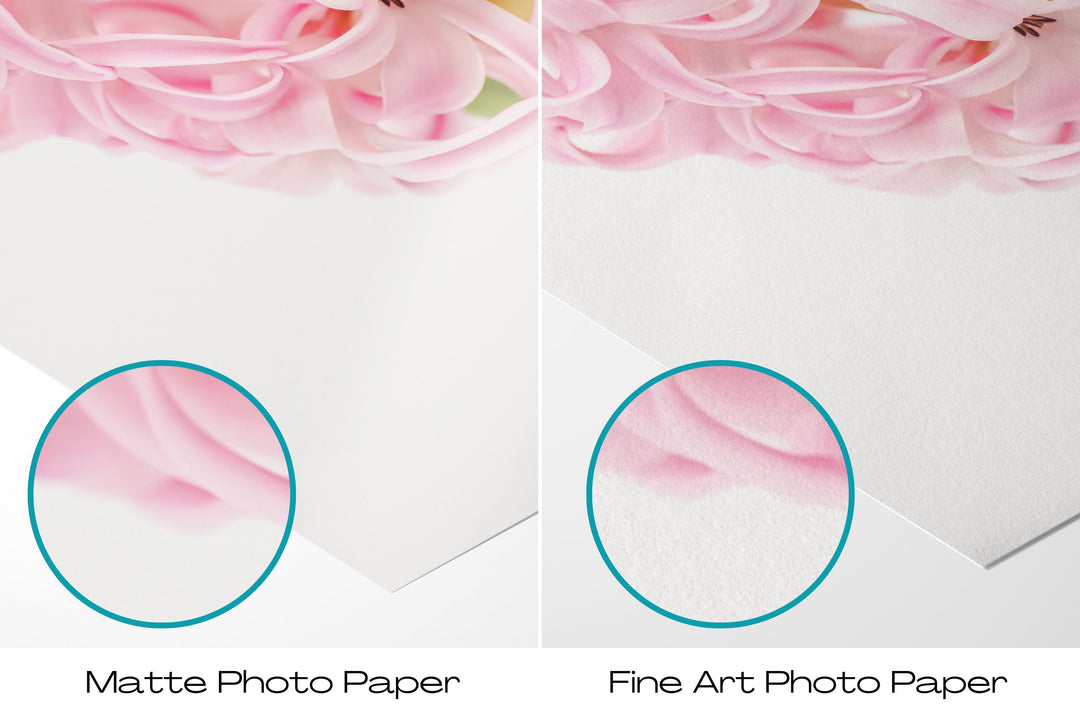 Pink Hyacinth | Fine Art Photography Print