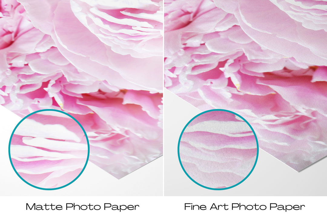 Pink Peonies II | Fine Art Photography Print