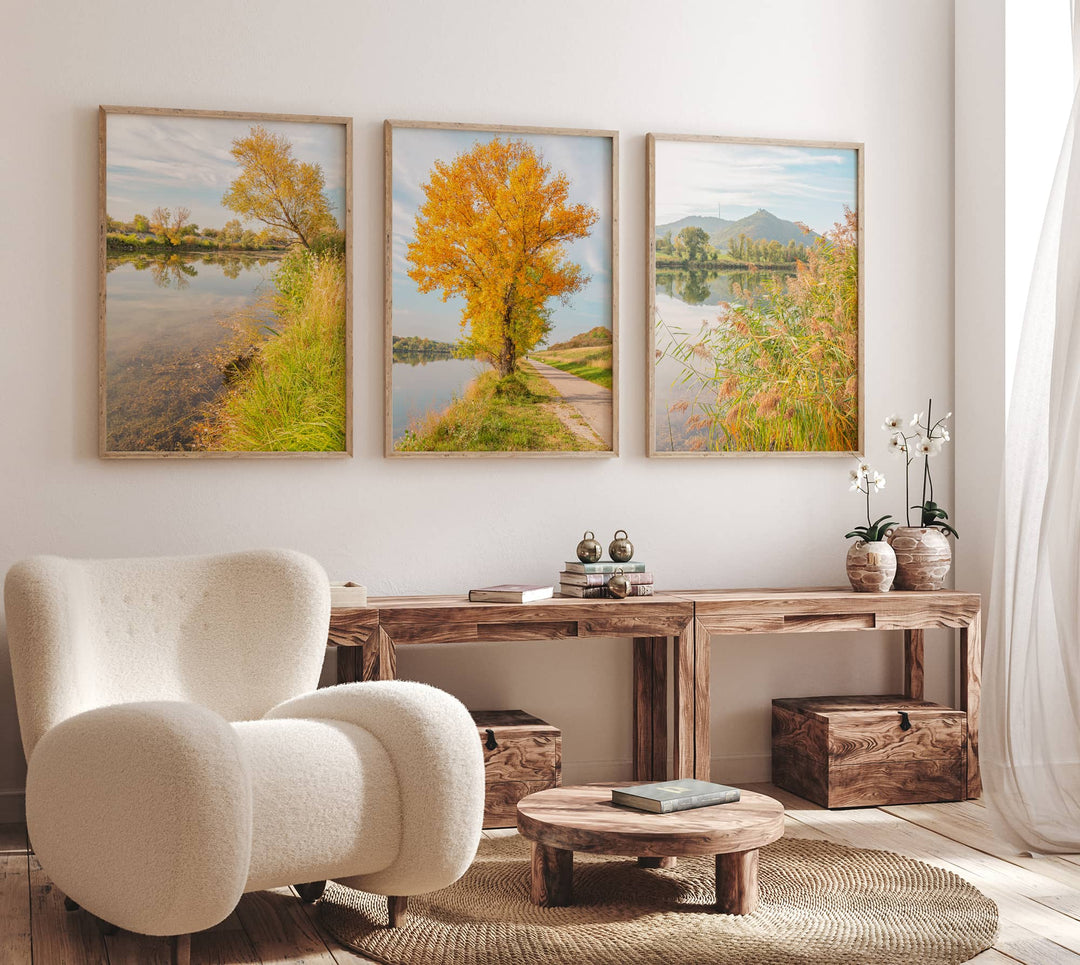 Fine Art Nature Photography Print Collection