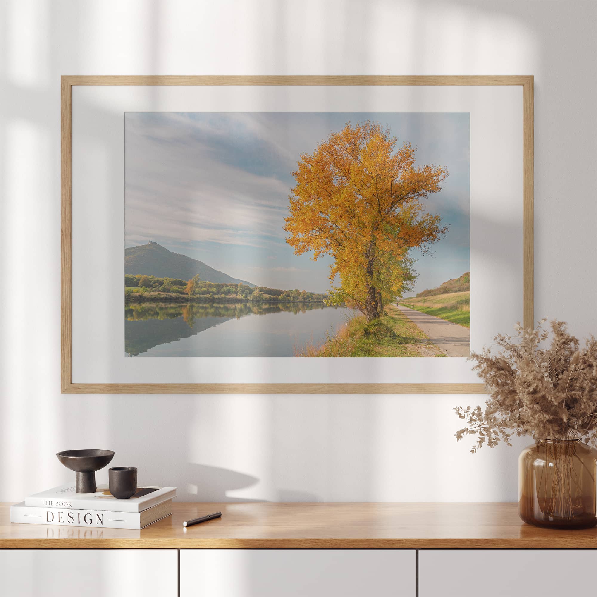 Fine Art Tree Photography Print Collection