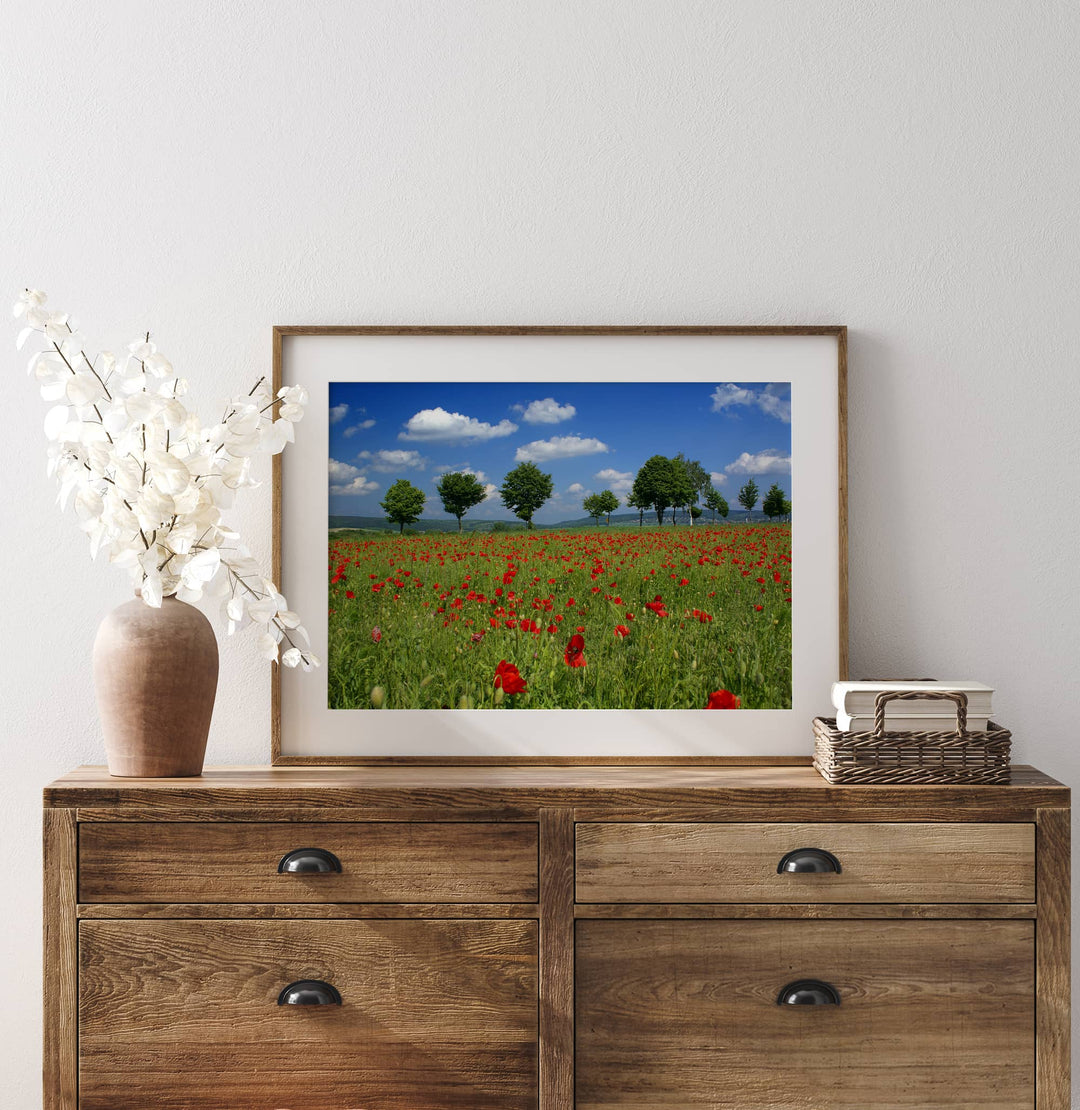 Fine Art Landscape Photography Print Collection