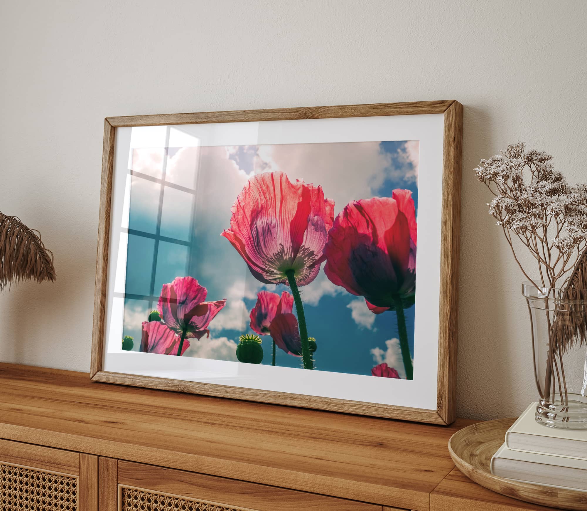 Fine Art Poppy Photography Print Collection