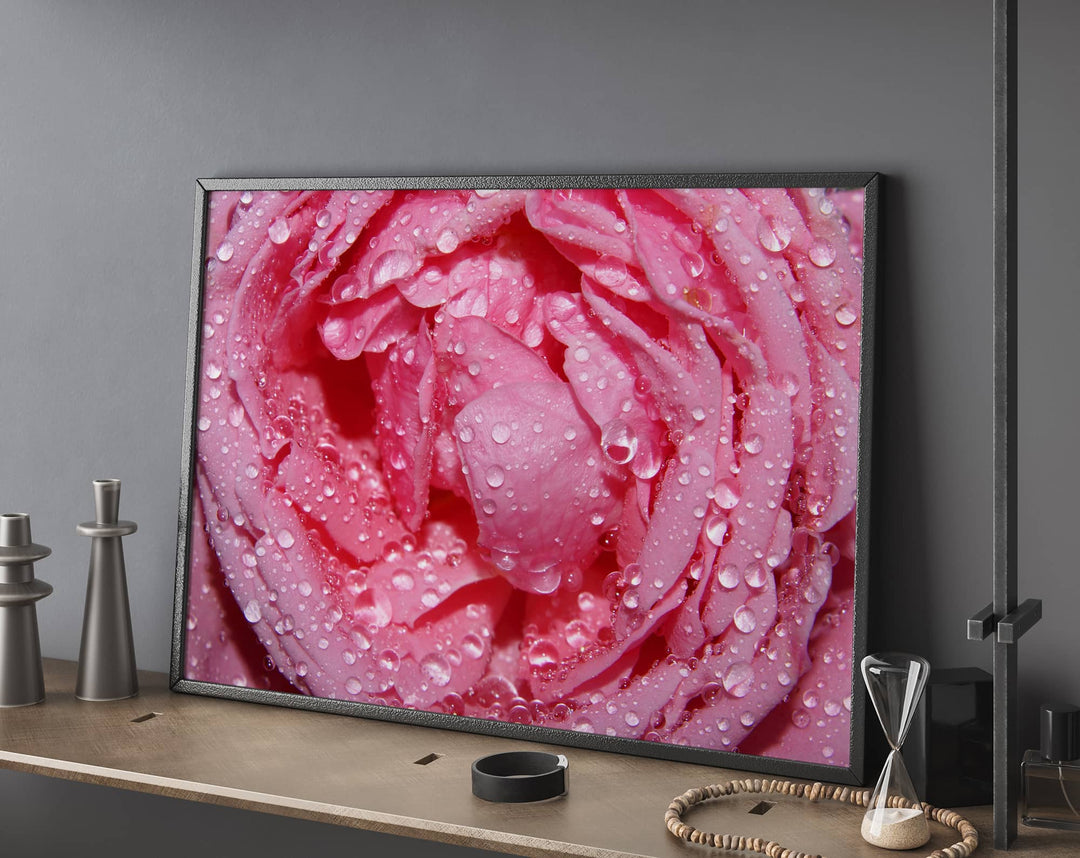 Pink Fine Art Photography Print Collection