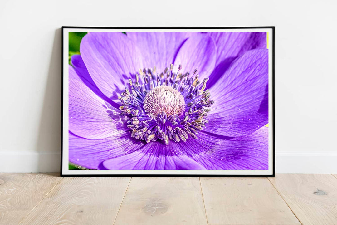 Purpple Fine Art Photography Print Collection