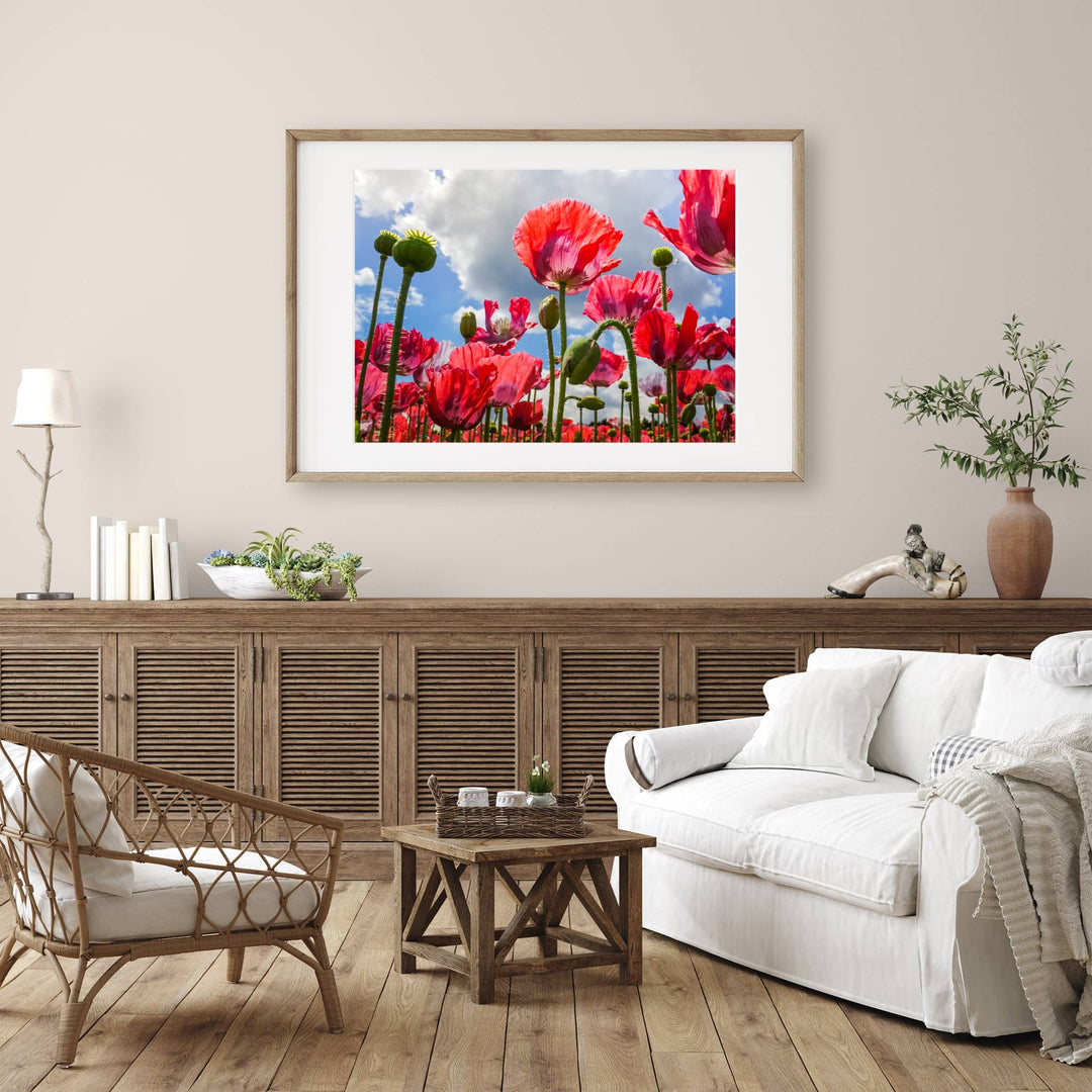 Red Fine Art Photography Print Collection