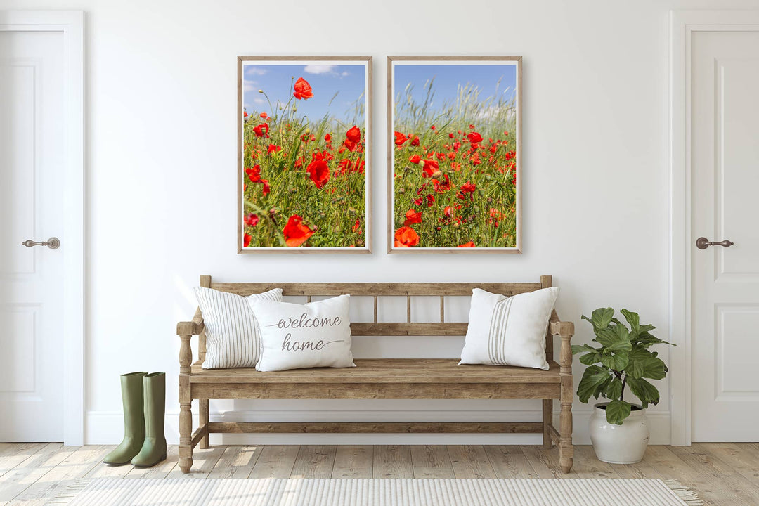 Fine Art Summer Photography Print Collection