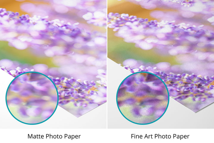 Purple Lavender III | Fine Art Photography Print