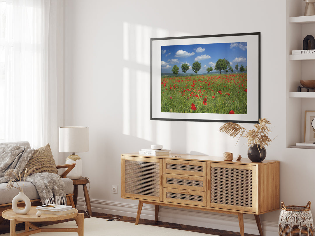 Poppy Flower Field I | Fine Art Photography Print
