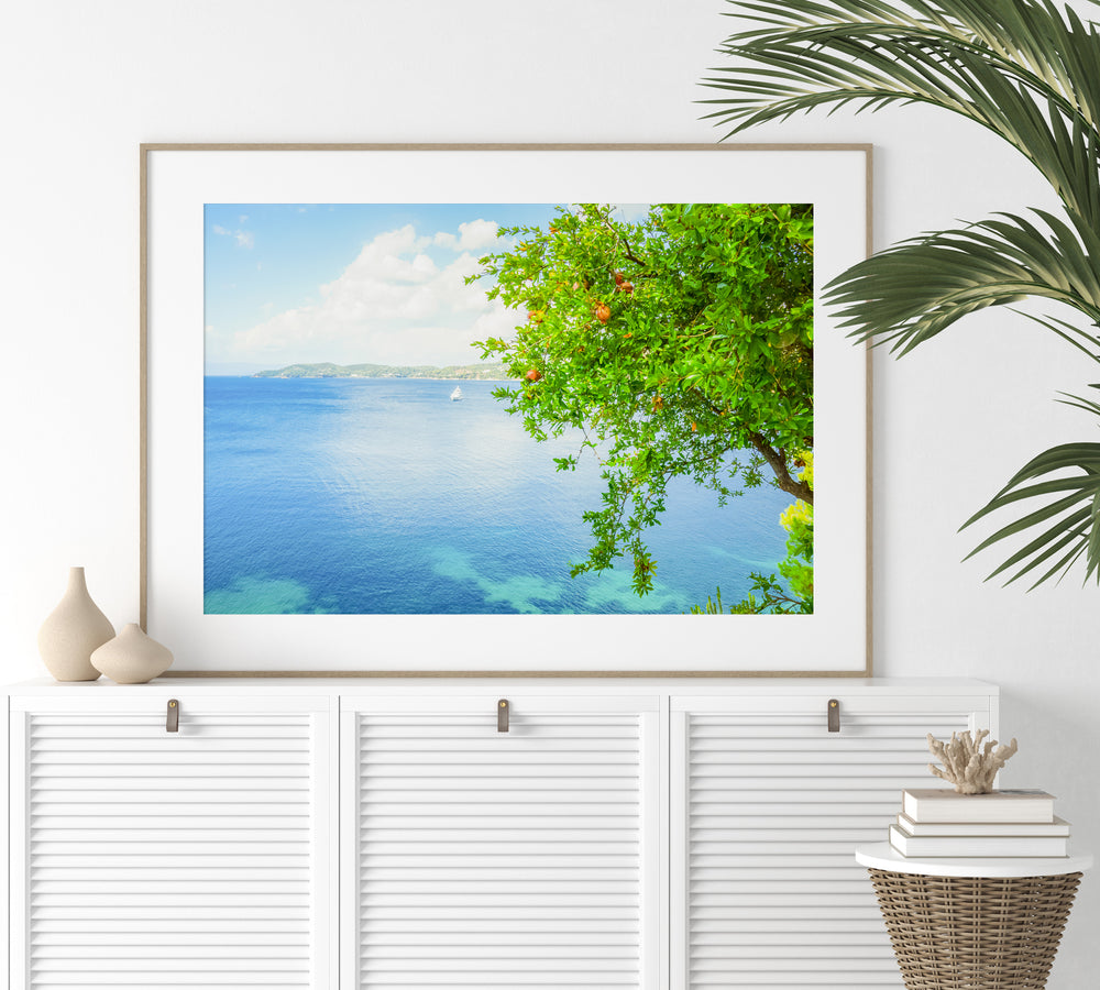 Coastal Pomegranate Tree | Fine Art Photography Print