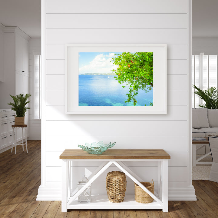 Coastal Pomegranate Tree | Fine Art Photography Print