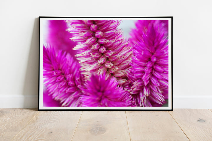 Abstract Pink Flower | Fine Art Photography Print