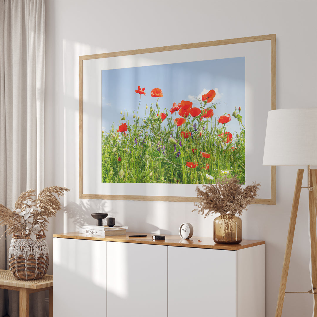 Poppy Flower Field II | Fine Art Photography Print