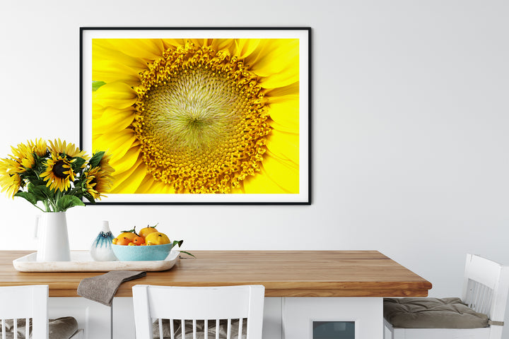 Sunflower | Fine Art Photography Print