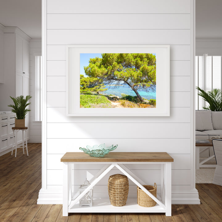 Coastal Pine Tree II | Fine Art Photography Print