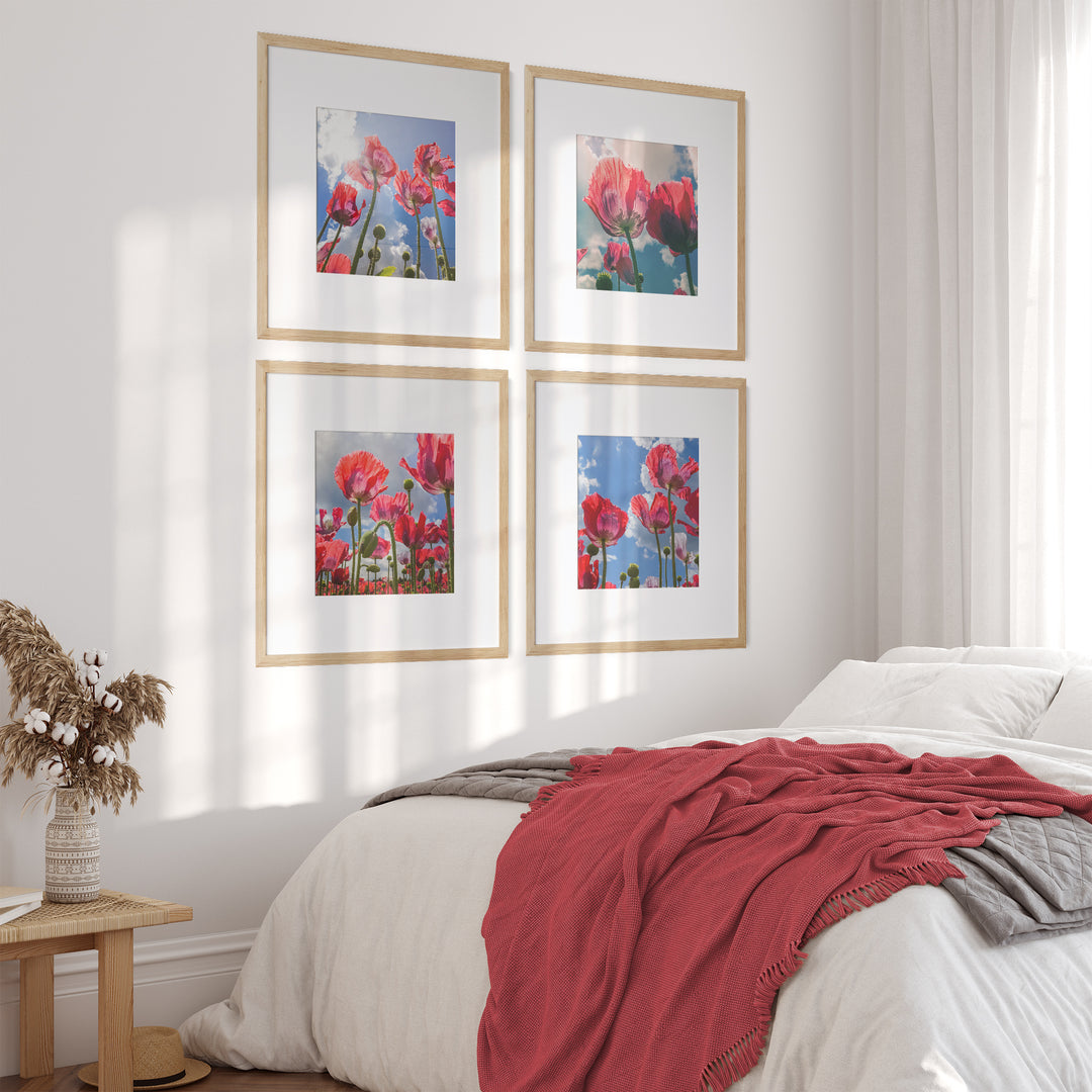 Mohnblumen Bilderwand | Fine Art Poster Set