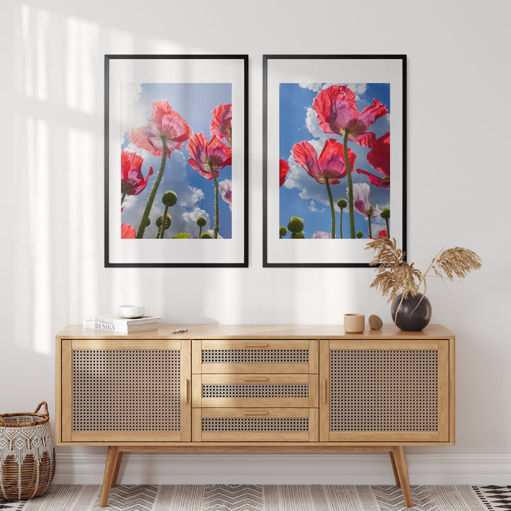 Red Poppies Gallery Wall | Fine Art Photography Print Set