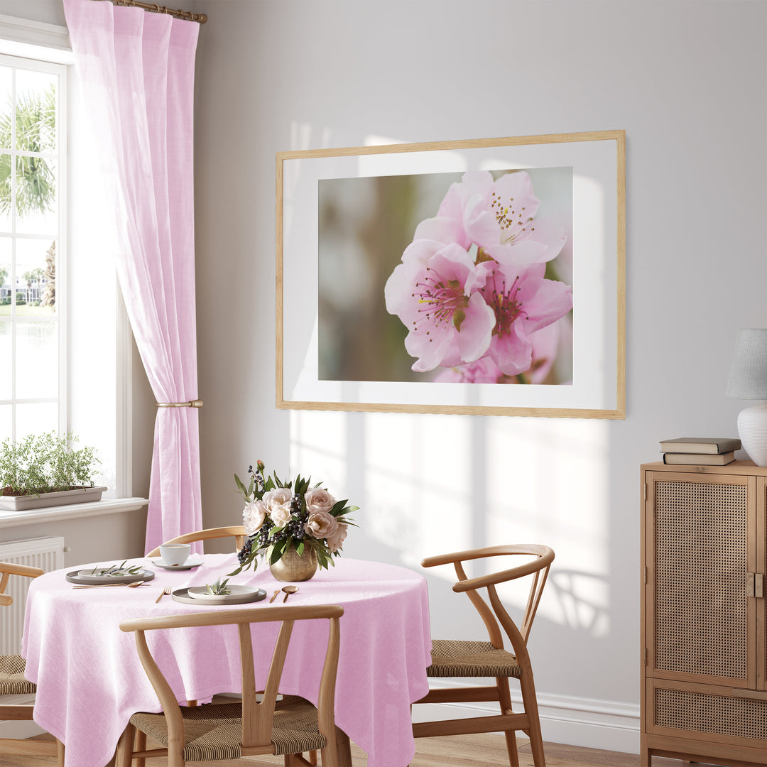 Peach Blossom | Fine Art Photography Print