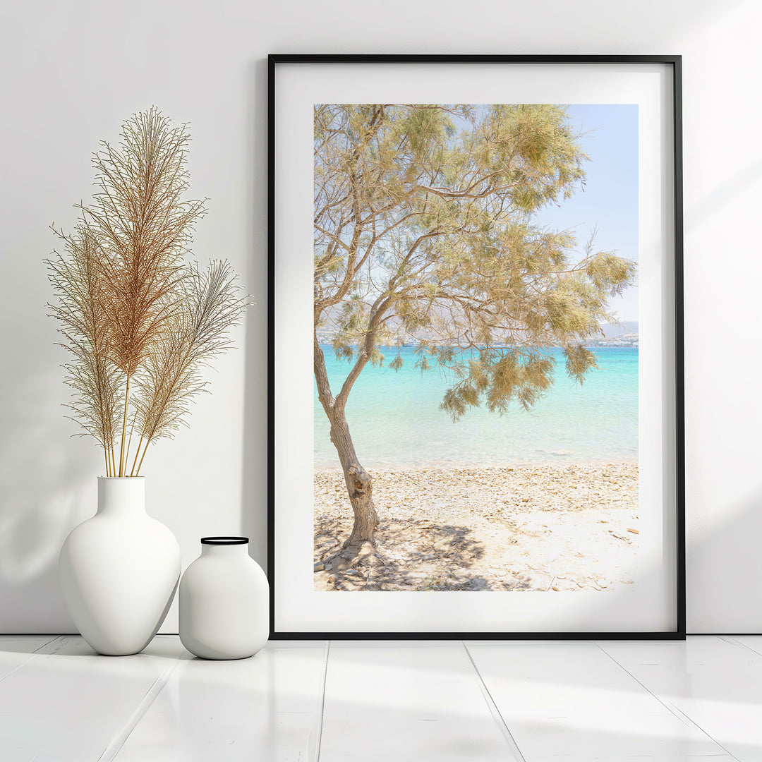 Greek Pine Tree | Fine Art Photography Print
