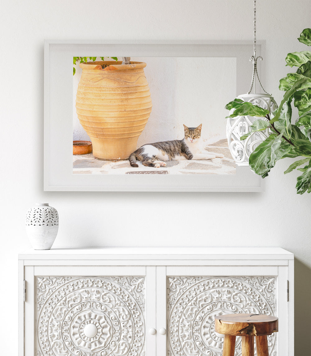 Greek Cat II | Fine Art Photography Print