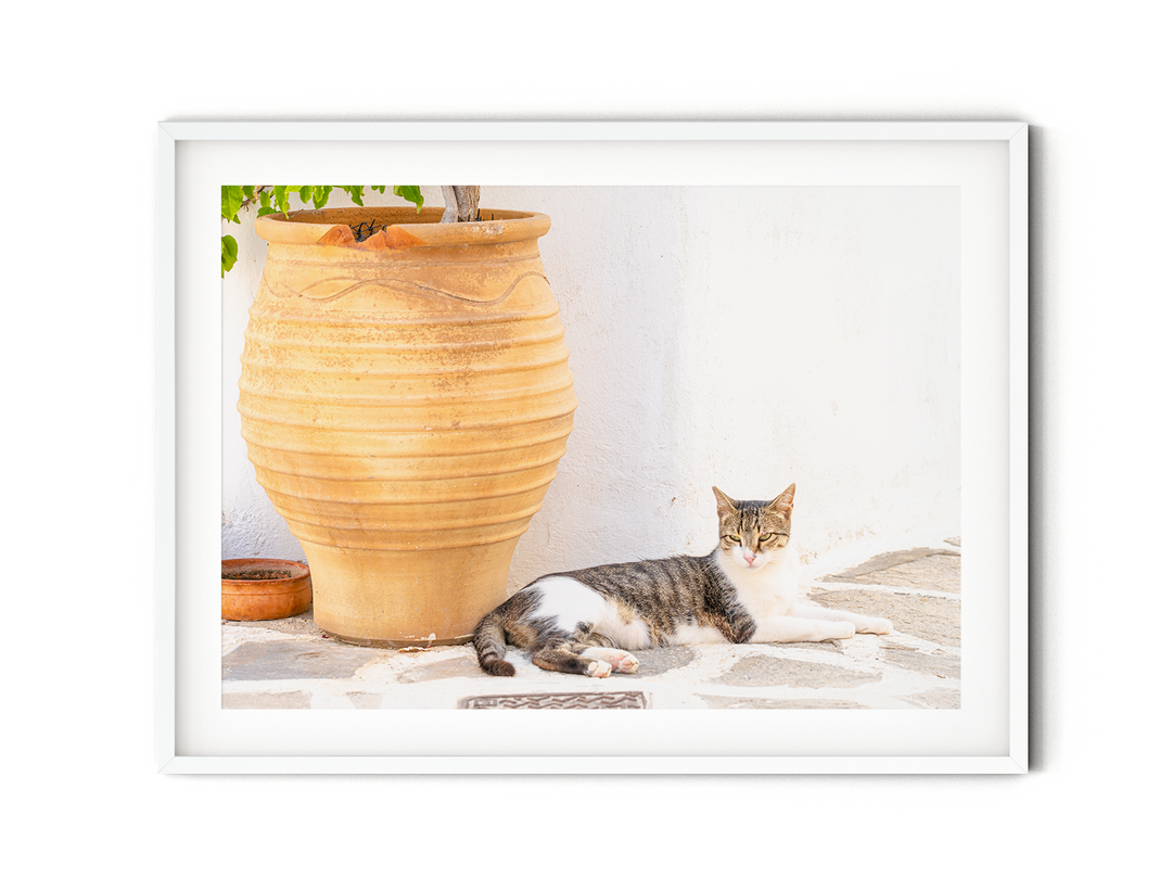 Griechische Katze II | Fine Art Print
