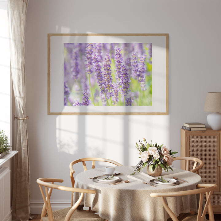 Lila Lavendel I | Fine Art Poster Print