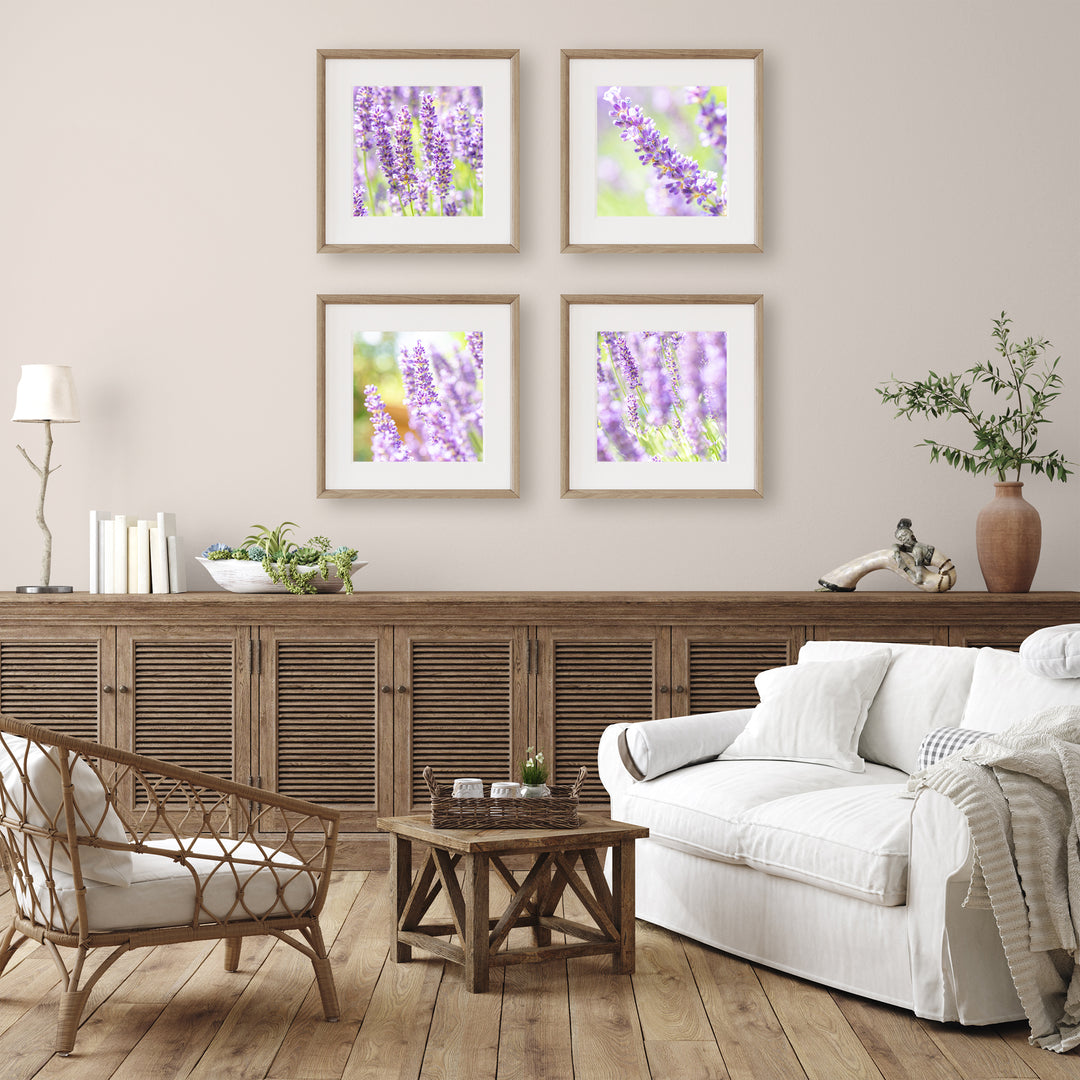 Lila Lavendelfelder Bilderwand | Fine Art Print Poster Set