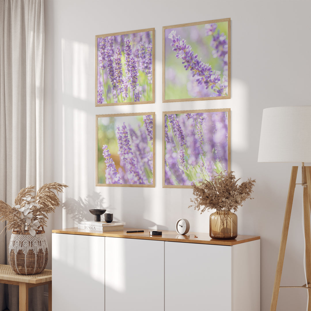 Lila Lavendelfelder Bilderwand | Fine Art Print Set