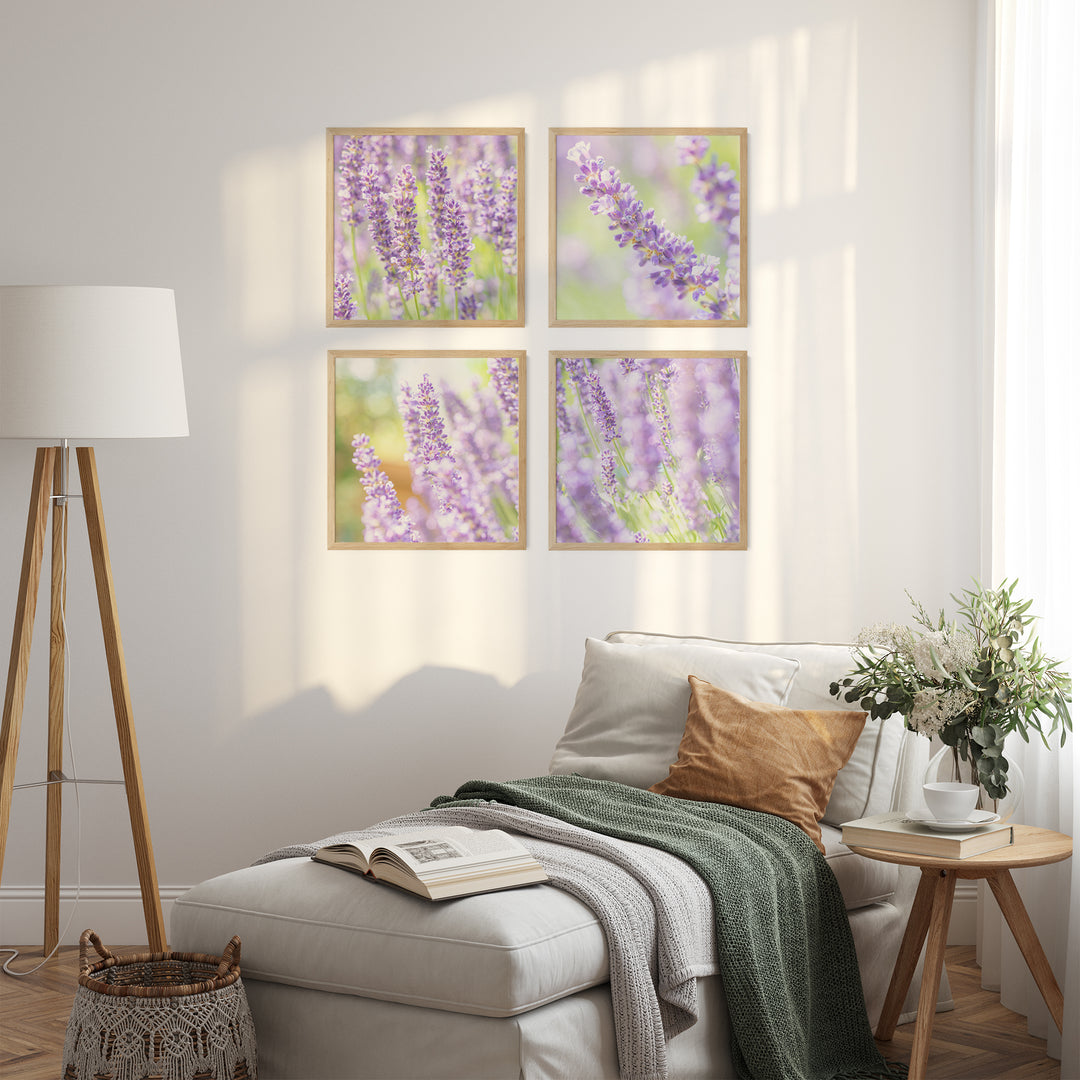 Lila Lavendelfelder Bilderwand | Fine Art Print Set