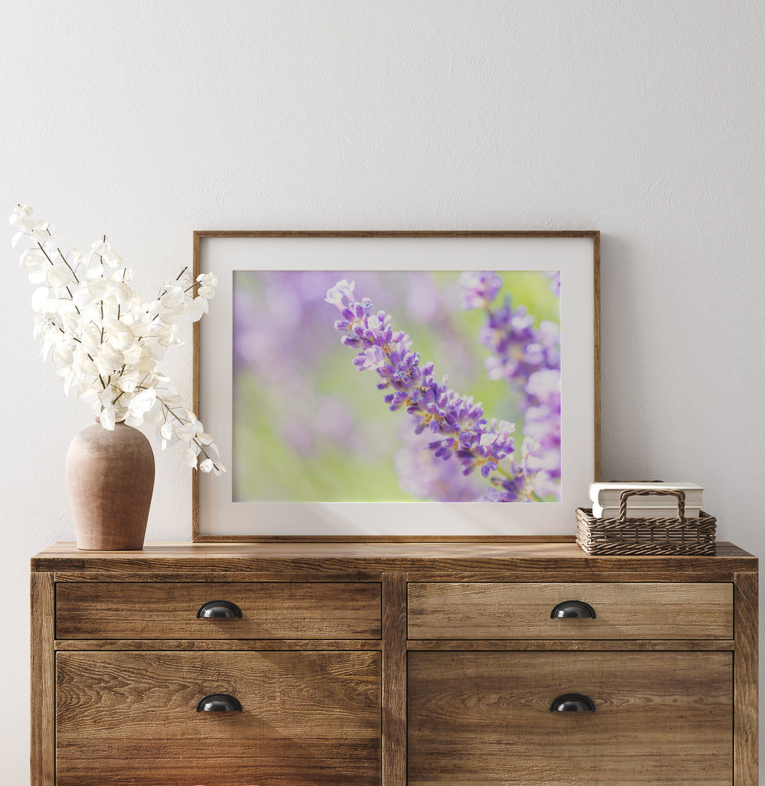 Lila Lavendel II | Fine Art Print