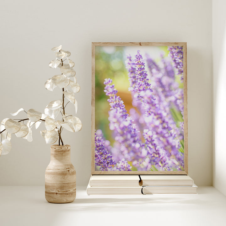 Purple Lavender III | Fine Art Photography Print