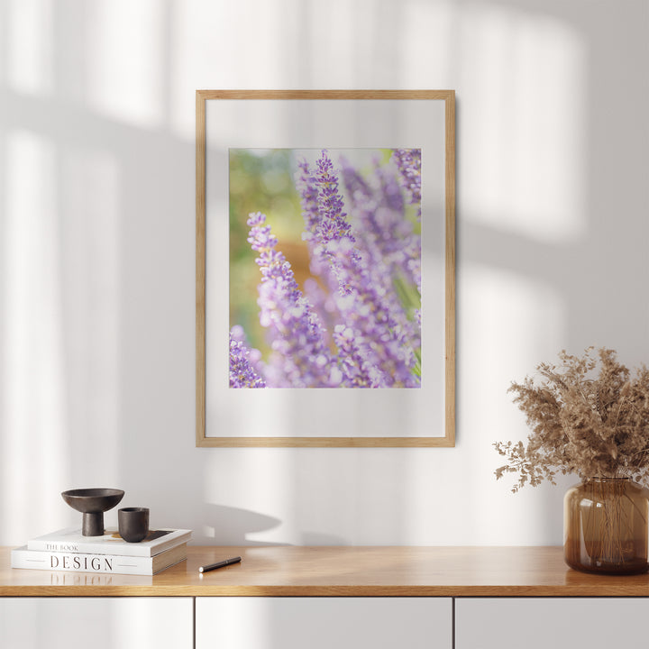 Lila Lavendel III | Fine Art Poster Print