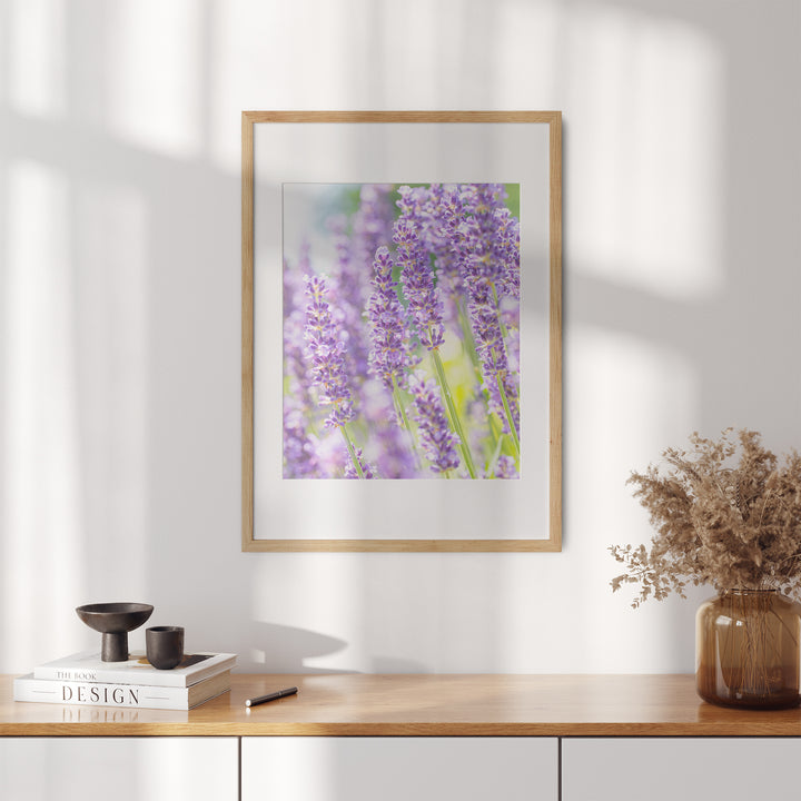 Purple Lavender IV | Fine Art Photography Print