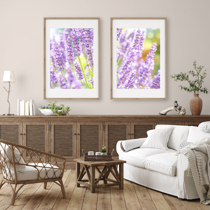 Purple Lavender Gallery Wall | Fine Art Photography Print Set