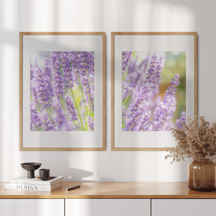 Lila Lavendel Bilderwand | Fine Art Print Set