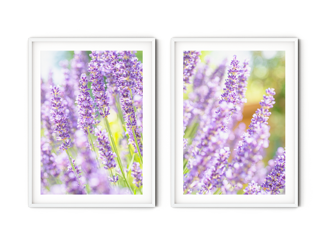 lavender flower wall decals Purple Lavender Gallery Wall